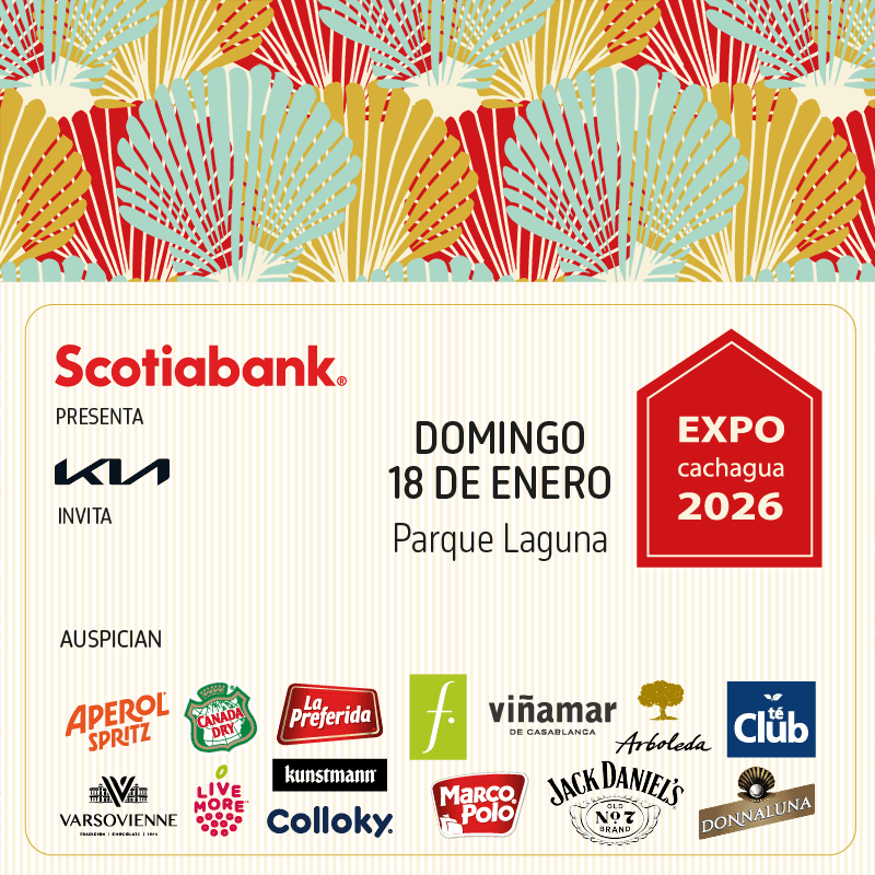 Expo día Domingo image}